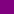 Senior Concert Band - Purple colour